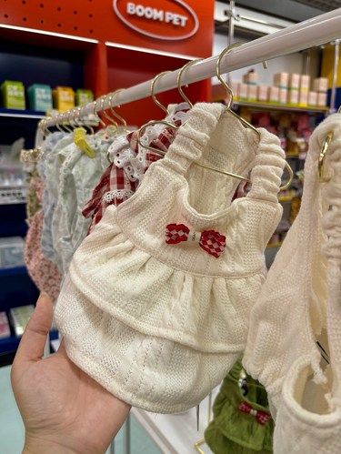 水游城这家宠物店谁还没去过！这衣服是要迷死谁