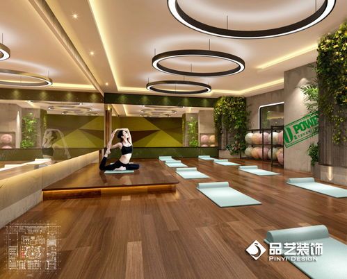 狗狗舞蹈室设计图片欣赏