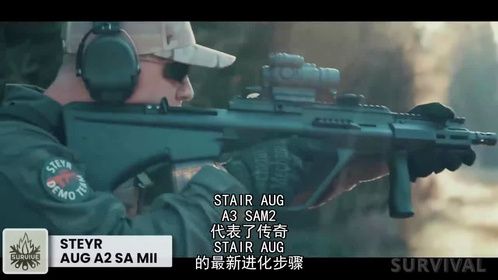 10种比AR-15更好的防御步枪