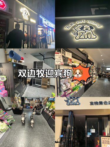 宠的洁净乐园与温馨家园
