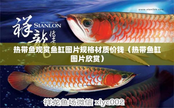 热带鱼观赏鱼缸图片规格材质价钱（热带鱼缸图片欣赏） 观赏鱼市场（混养鱼）