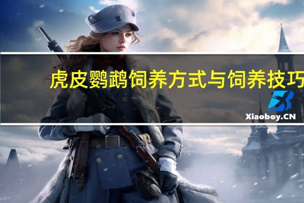 虎皮鹦鹉饲养方式与饲养技巧（虎皮鹦鹉饲养方法）