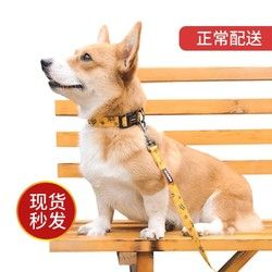 纤宠 宠物狗狗牵引绳 链子项圈套装 项圈+牵引绳 S小号 建议3-18斤