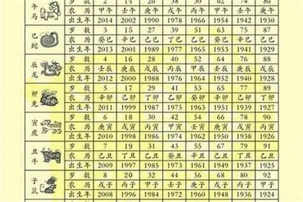 属猪的相合的属相