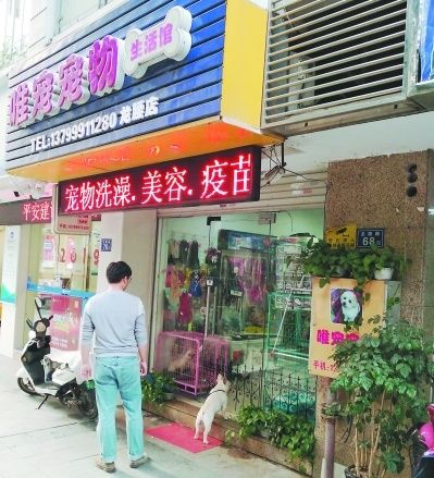 宠物寄养市场渐红火 供不应求选择需谨慎