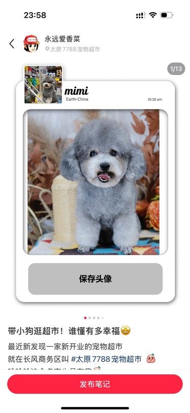 今天大喜事 小狗逛超市[色][色]