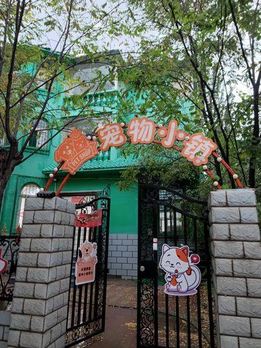 这绝对是狗狗会超级喜欢的宠物店[惊叹]！