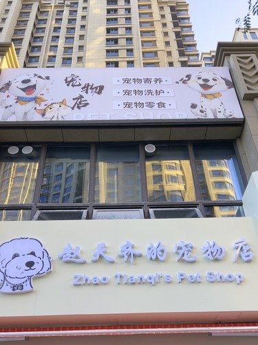 超级棒的一家宠物店