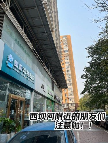西坝河又有新情况？！