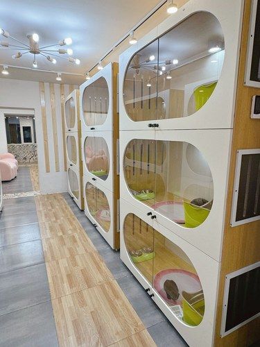 长春的！！！曝光一下这家店！！！