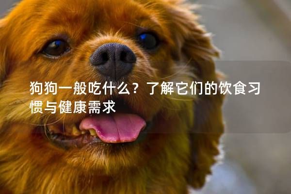 狗狗一般吃什么？了解它们的饮食习惯与健康需求