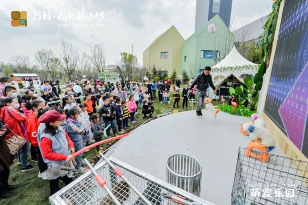 宠居萌宠乐园，人与自然的和谐乐章