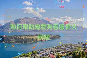 如何帮助宠物狗客服怕火问题