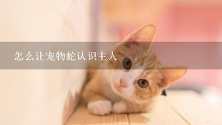 怎么让宠物蛇认识主人