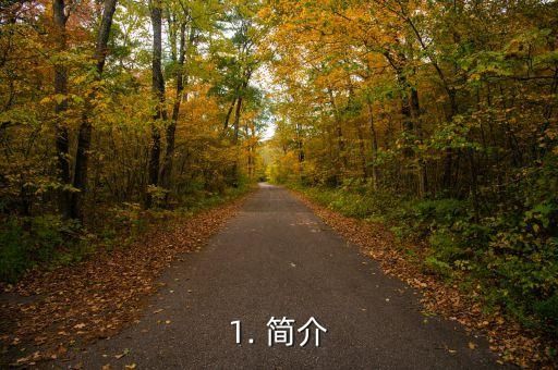 1. 简介