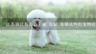 江苏镇江有卖公主兔 仓鼠 龙猫这些的宠物店么