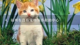 福州有没有宠物领养救助中心