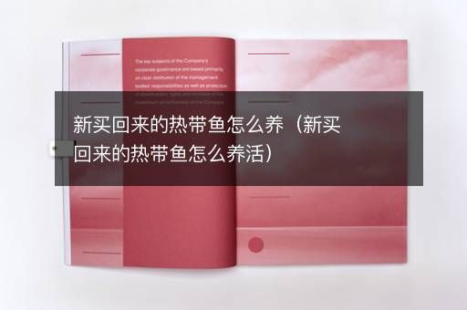 新买回来的热带鱼怎么养（新买回来的热带鱼怎么养活）