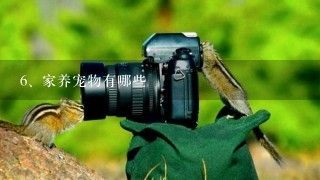 家养宠物有哪些