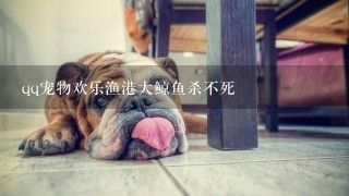 qq宠物欢乐渔港大鲸鱼杀不死