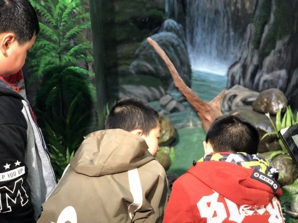 观察动物标本.jpg