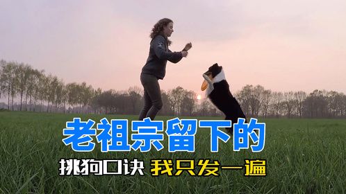 挑狗口诀，老祖宗留下来的，我只发一遍