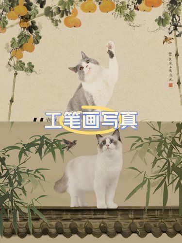 强烈推荐大家去拍