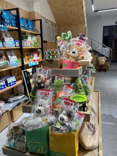 带狗狗来萧山新开的宠物店来探店