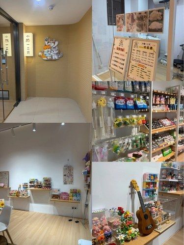发现一家超棒的猫咪美容洗澡店❗️❗️