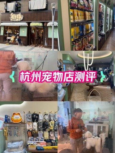 杭州新天地，宝藏宠物店
