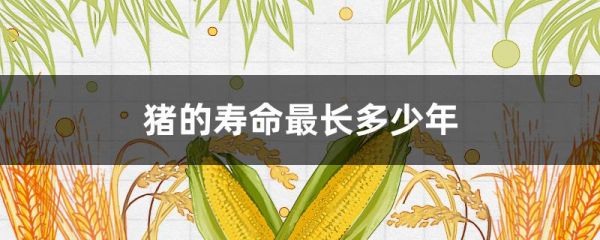 猪的寿命最长多少年