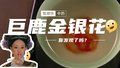 【河北净菜四季鲜】《甄嬛传》中的巨鹿金银花，你发现了吗？