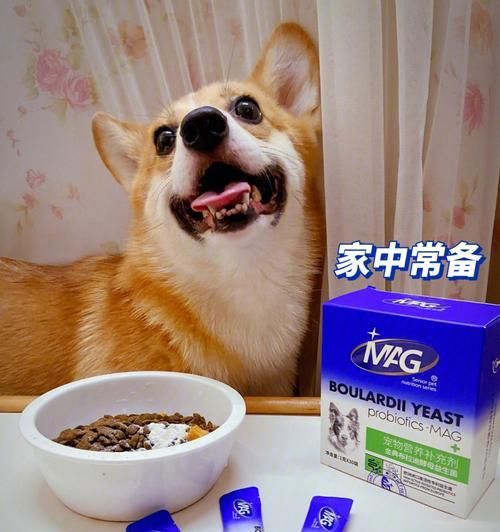 狗狗mag钙片，全方位保护宠物健康（从骨骼到免疫，这款钙片都能帮助你的宠物）