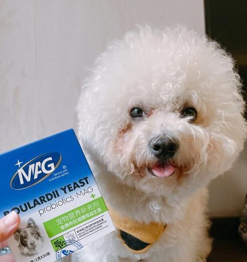 狗狗mag钙片，全方位保护宠物健康（从骨骼到免疫，这款钙片都能帮助你的宠物）
