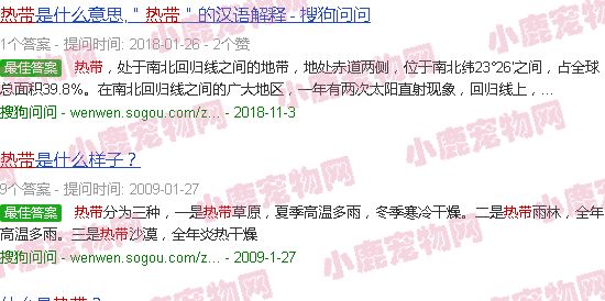 热带鱼的种类有哪些