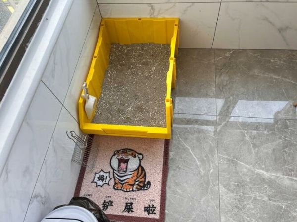 猫咪拒绝使用猫砂盆的十大原因及解决方案