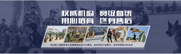 训狗师培训课程 训狗课程 训狗科目表 狗狗训练收费标准 训狗标准 上海爱家训狗基地