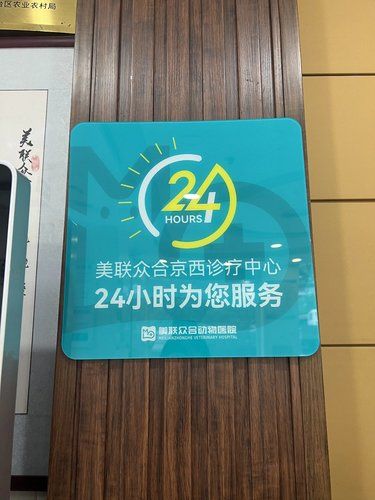 终于找到了毛孩子放心的医院