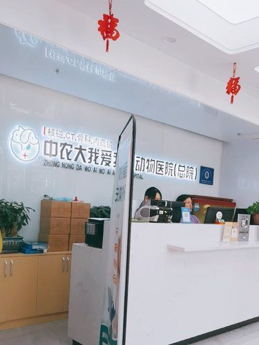 安心陪诊服务，我体验了，