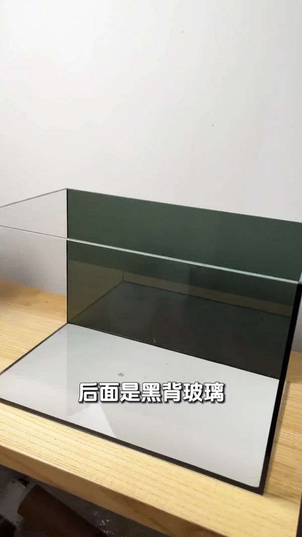 斑马鱼鱼缸,开缸保姆级教程