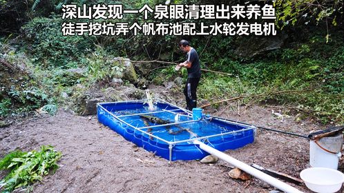 深山发现一个泉眼，开辟出来山泉水养鱼，还加了个水轮发电机诱虫