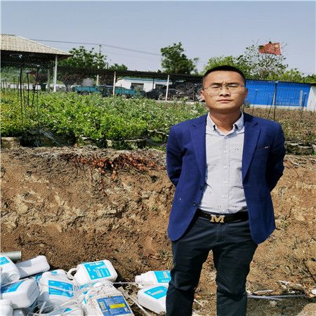 基地有种植珠宝蓝莓苗育苗中心、珠宝蓝莓苗免费培训