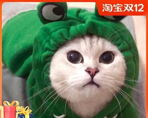 如何正确摸猫肚子——宠物主人必知的小知识（小猫肚子是个陷阱）