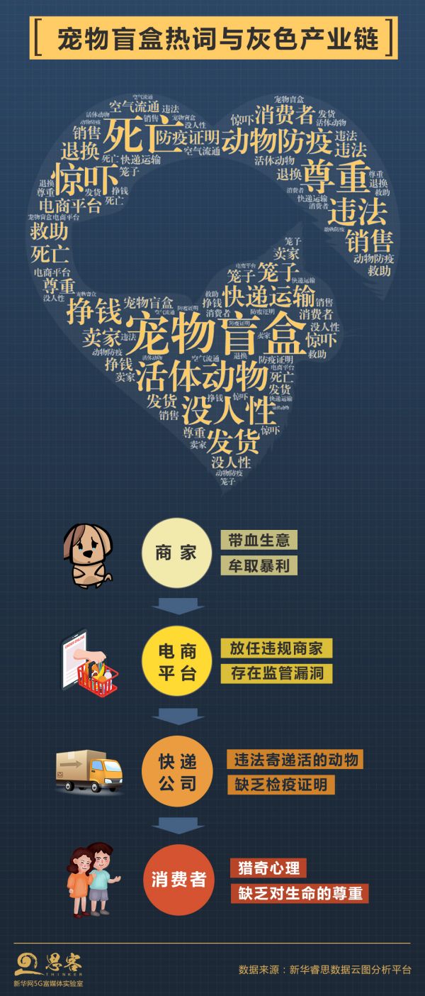 新华社：“宠物盲盒”问题曝出后，我们想与你聊几个问题