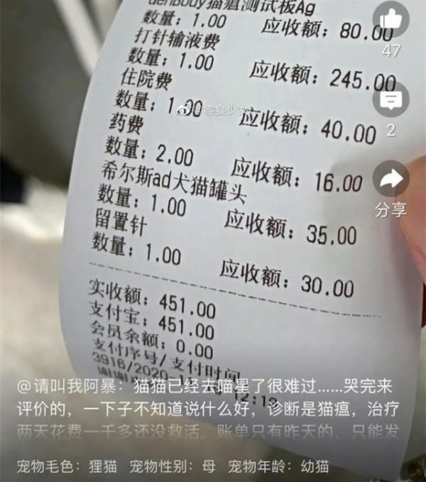 9块9买“宠物盲盒”，花了近500元给宠物治病。图片来源：微博@零食少女