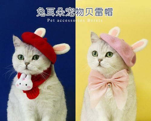 兔子也是可爱萌宠！（探秘兔子的生活习性、特点及饲养技巧）