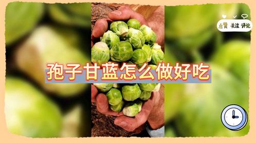 孢子甘蓝怎么做好吃