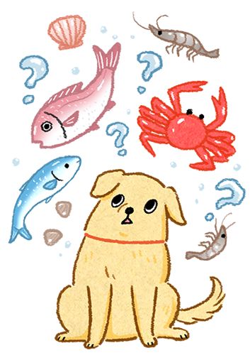 狗狗吃海鲜迷思
