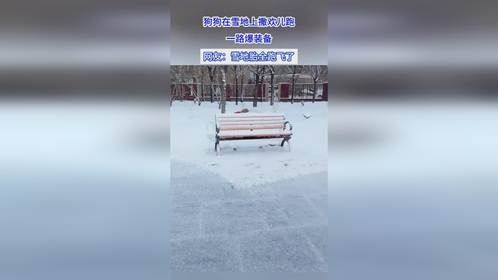 狗狗在雪地上撒欢儿跑，一路爆装备