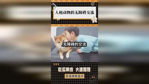 人和动物的无障碍交流